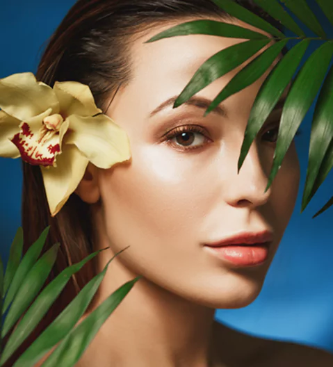 beauty